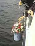 Ins Wasser lassen einer Seeurne durch den Kapitän